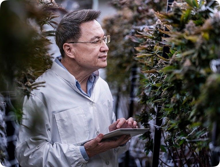 A man in a white lab coat examines plants in a greenhouse, holding a tablet. The setting is scientific, conveying focus and concentration.